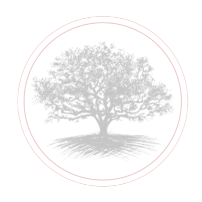 Magnolia Belle Interiors logo